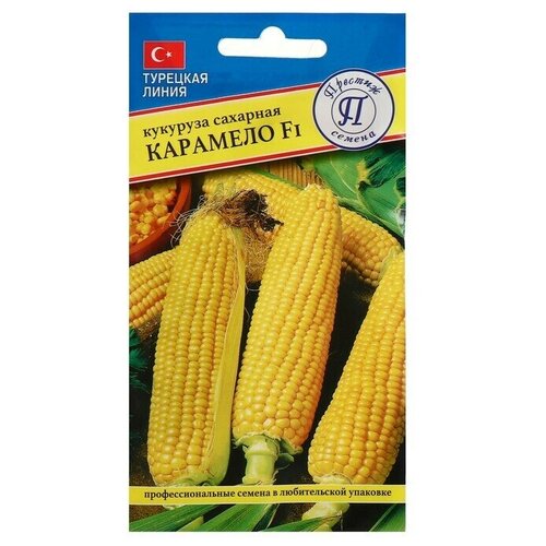 ������ ������ ������ �������� 