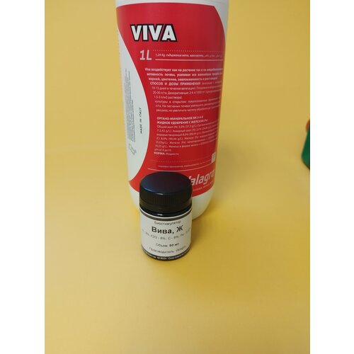 ������ ������ ��������� ���� 50 �� ����