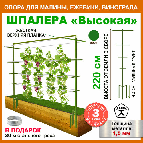 ������ ������ �������, ����� ��� ��������� ����