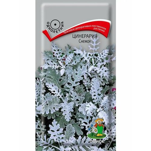 ������ ������ ��������� 