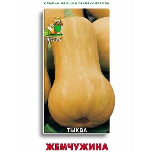 ������ ������ ����� 