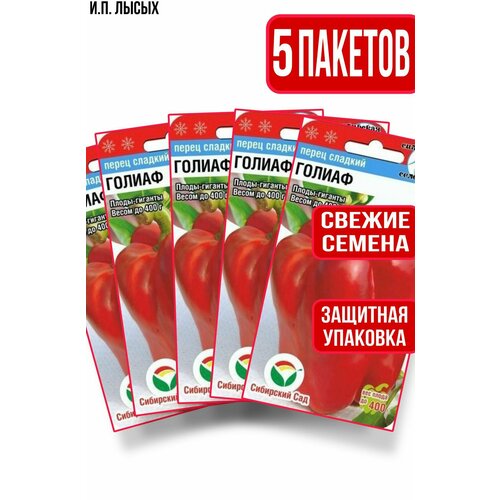 ������ ������ ������ ����� ������ 15�� ����