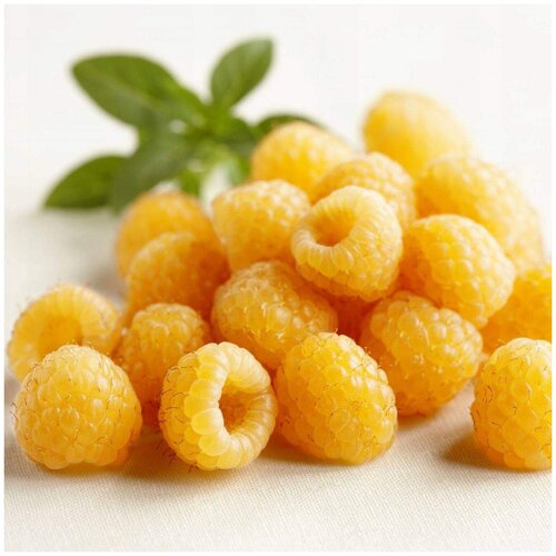 ������ ������ ������ ��������� ������ ������ ���������������, 10 �� ����