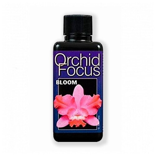     Orchid Focus Bloom  100   -     , -,   