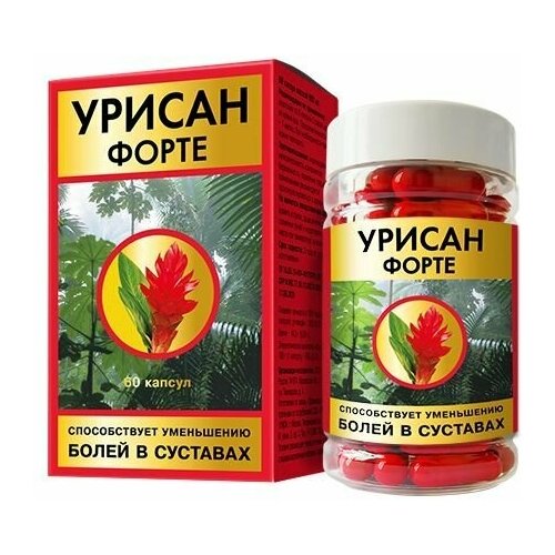 ������ ������ ������ ����� ������� 650�� 60�� ����