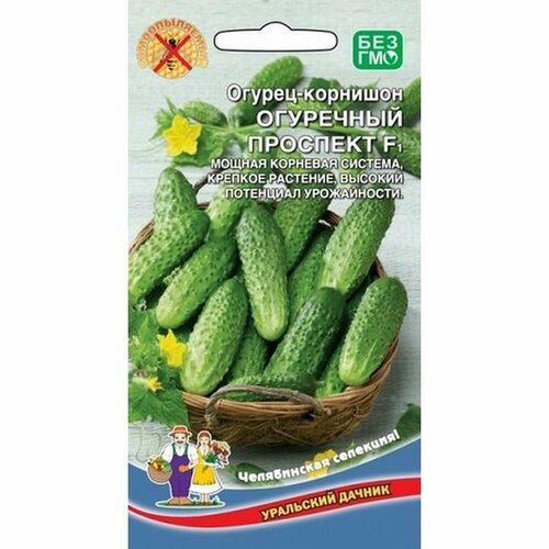 ������ ������ ������ ������ 