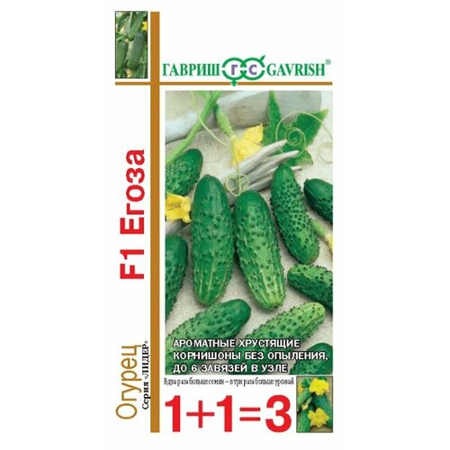 ������ ������ ������ ������ ����� 20�� ������������������ ������ (������) 1+1 ����