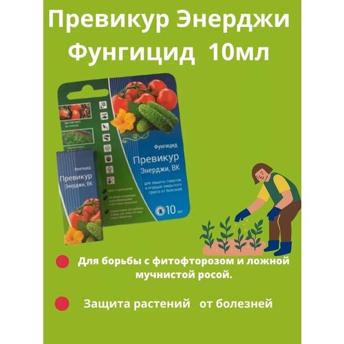 ������ ������ �������� ������� 10�� ����