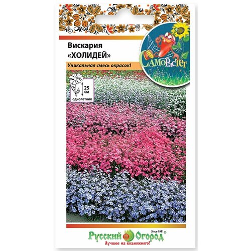 ������ ������ �������� �������, ����� ����