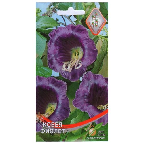 ������ ������ ����� ������, 5 ����� ����