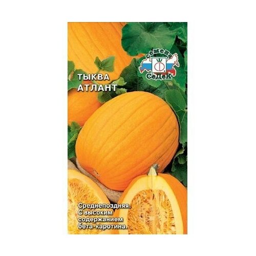 ������ ������ ������ ����� ����� ������ ����