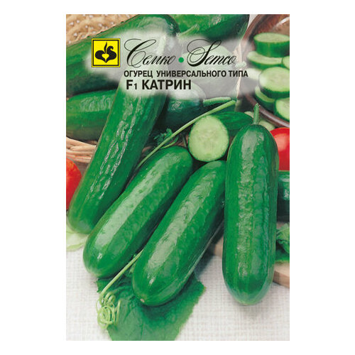 ������ ������ ������ ������ ������ 10�� ������������������ ������ (�����) ����