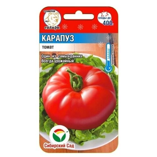 ������ ������ ������� 20�� ����� (��� ���) ����