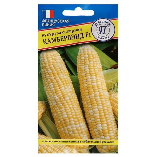 ������ ������ ������ �������� ��. 