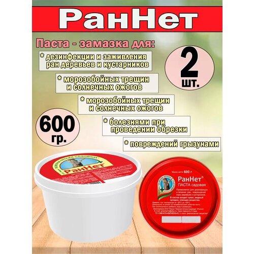 ������ ������ �����-������� ������ 600 ��. ����