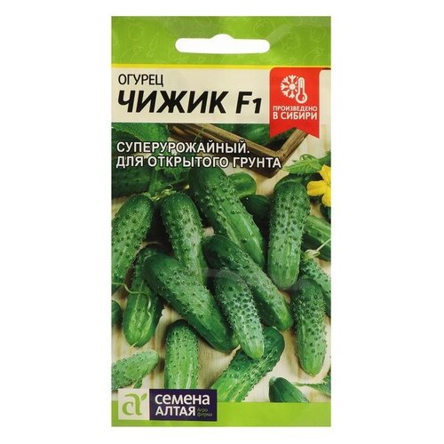 ������ ������ ������ ������ ����� ������ ����� F1, 8 �� ����