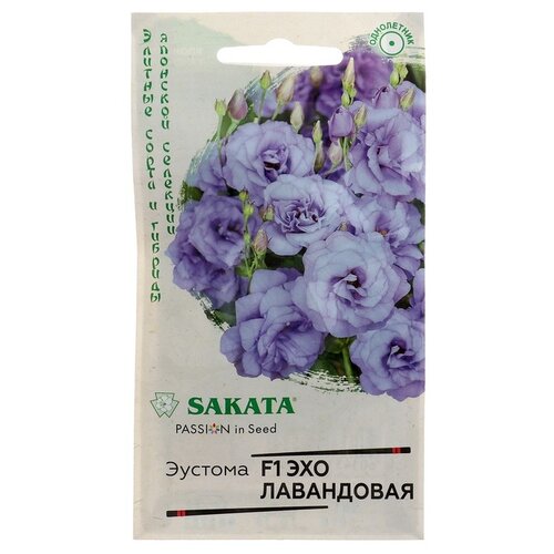 ������ ������ ������ ������ ������� ��� ���������� F1, �������, 4 �� ����