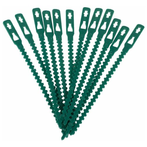 ������ ������ ������ 