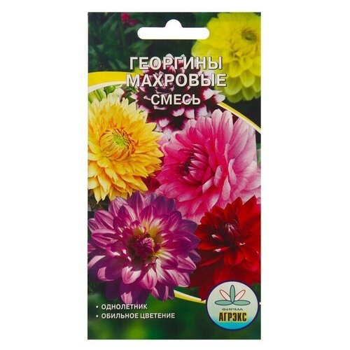 ������ ������ ������ ������ �������� �������� �����, 0,2 � ����