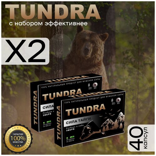 ������ ������ ������ ������� ����������� ������, 20 ������, 2�� ����