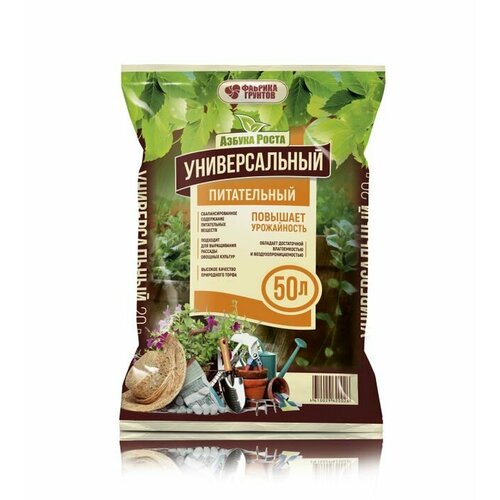 ������ ������ ������ ����� - ���������� 