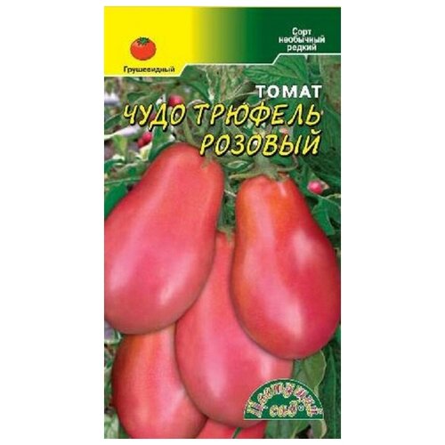 ������ ������ ������ �������� ��� 