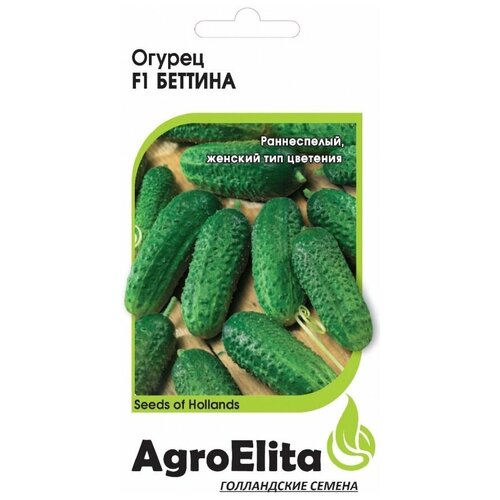 ������ ������ ������ ��������� 