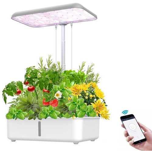 ������ ������ ����� WiFi �������� ����� VitaFerma VF-SGH01 ����