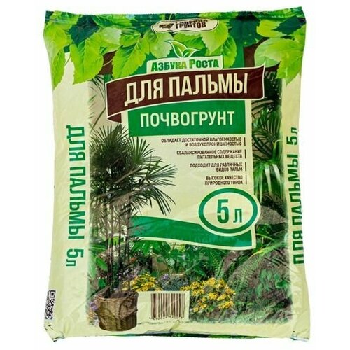 ������ ������ ����� ��� ������ 5 ������, ������ ����� ����