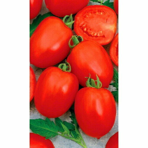 ������ ������ ������ ����� �������� (��) �/� ����