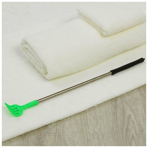 ������ ������ ������� ������� � ����������� ������� (42 ��) ����