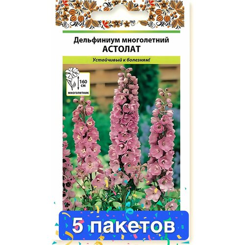 ������ ������ ����� ���������� ������� ����������� 5 ������� ����