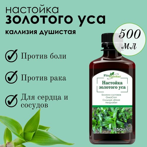 ������ ������ �������� �������� ��� 