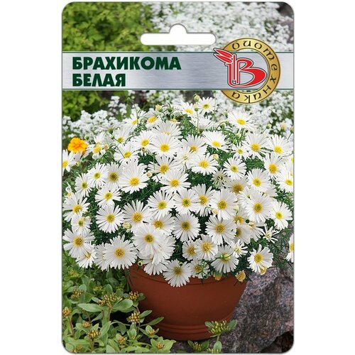 ������ ������ ������ ��������� ����� 200 ���� ����� ���������� ����