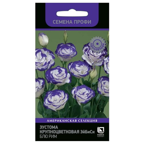 ������ ������ ������ ������� ����� ������ ��� ��� ��������������� 10 �� ����