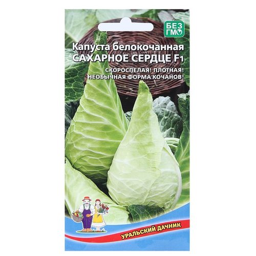 ������ ������ ������ ��������� ������ ������� ������������ �������� ������ 0.2 � ����