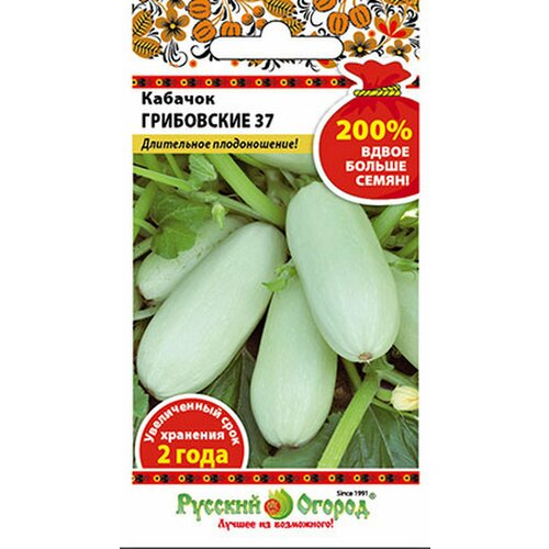 ������ ������ ������� ����������� 