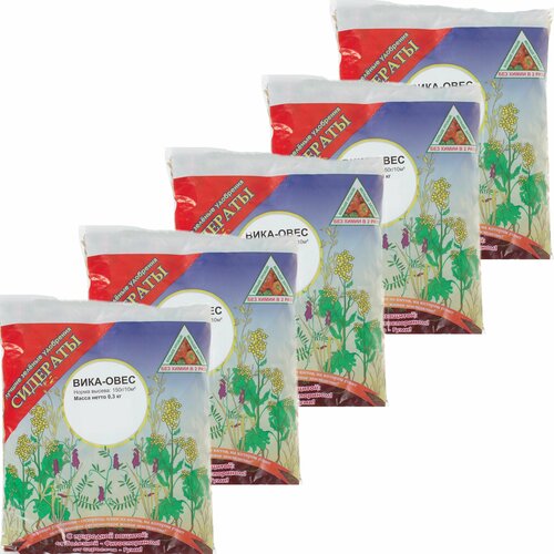 ������ ������ ������� 