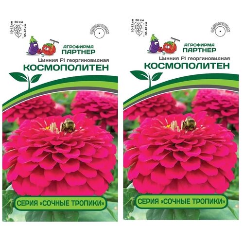 ������ ������ ������ ������ F1 ������������ /��������� �������/ 2 �������� �� 4 ��. ����� ����