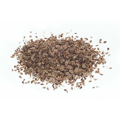 ������ ������ ����� ������ 1 �� ����