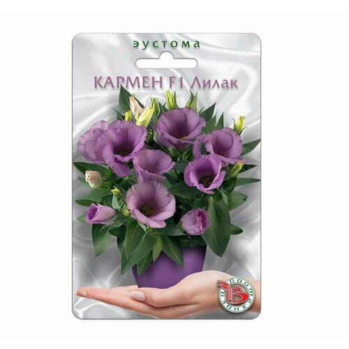 ������ ������ ������ ������� ��������� ������ ����� F1 �� ���������� ����