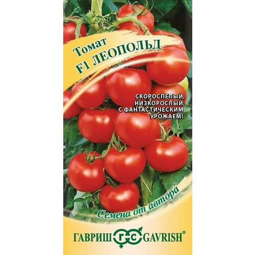 ������ ������ ������ ����� �������� F1 12�� ��� ������ (������) ����