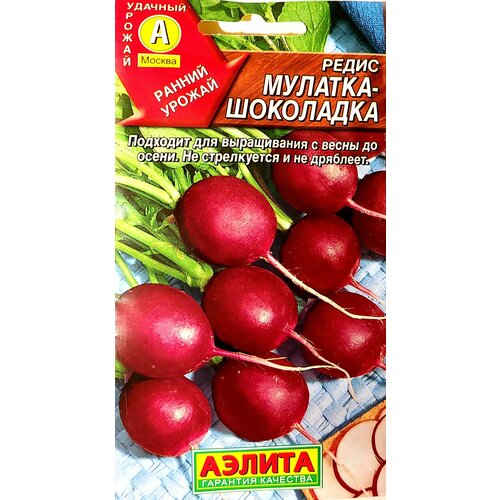 ������ ������ ����� �������-��������� ����