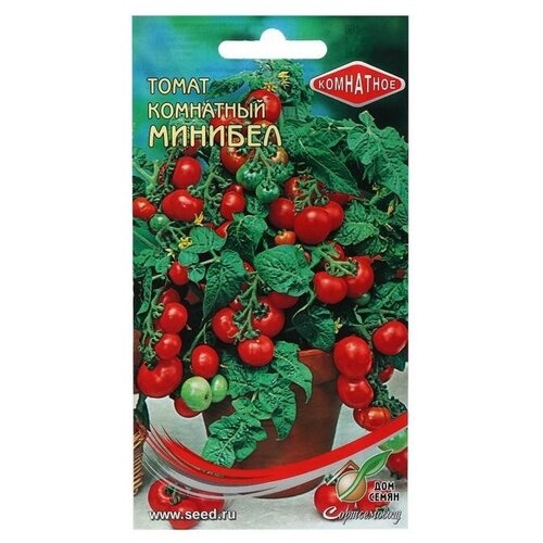 ������ ������ ������ ����� ����. �������, 15 ��, 5 �������� ����