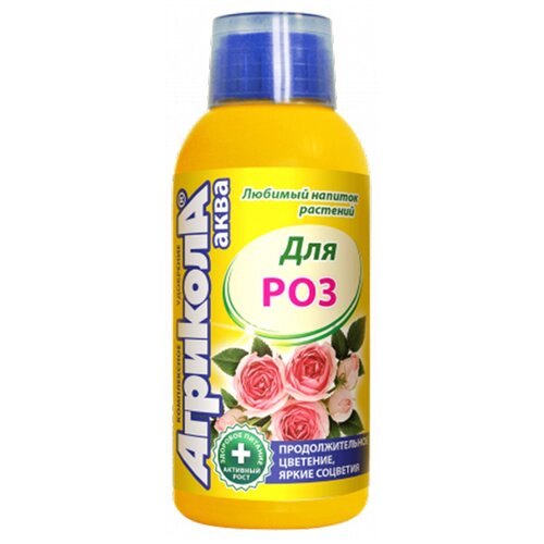 ������ ������ ��������� �������� ���� ��� ���, 0.25 �, 250 �, 1 ��. ����