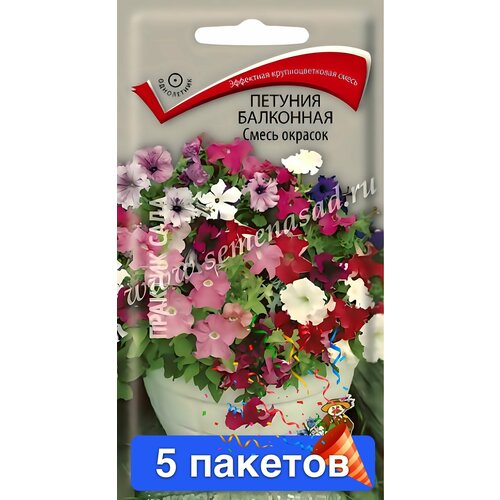 ������ ������ ����� ������� ��������� 5 ������� ����