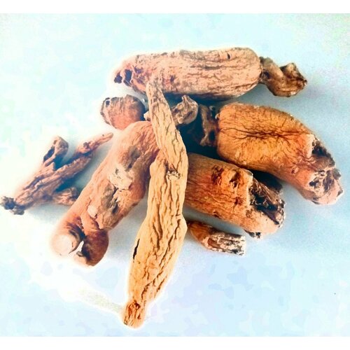 ������ ������ �������� ������ �����, 75�� ������������ �������� ����