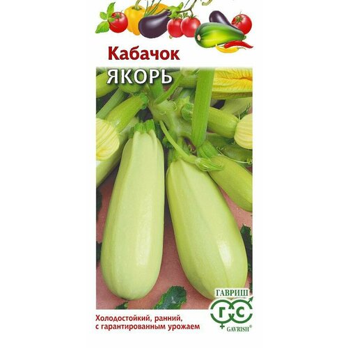 ������ ������ ������ ������� ����� 2� (������) ����