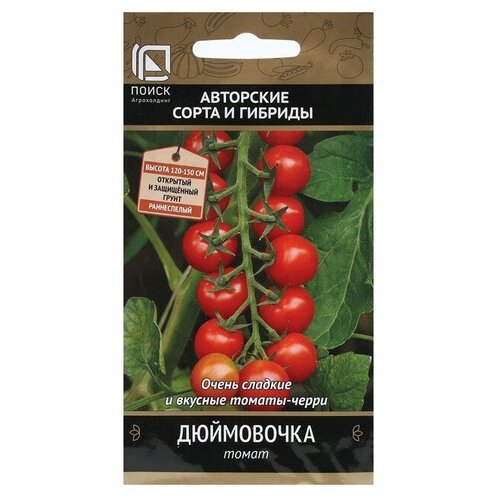 ������ ������ ������ ����� ���������� ����� 12�� ����� ������ (�����) ����� ����