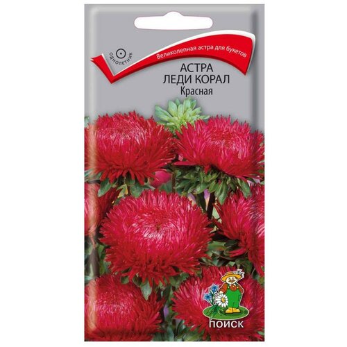 ������ ������ ������ ����� ���� ����� ������� ���������� 0,1 ��. ����